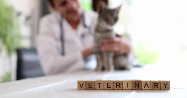 Doktor Yavru Kedinin Arka Planındaki Ahşap Küplere Kelime Veteriner Tıbbı — Stok video