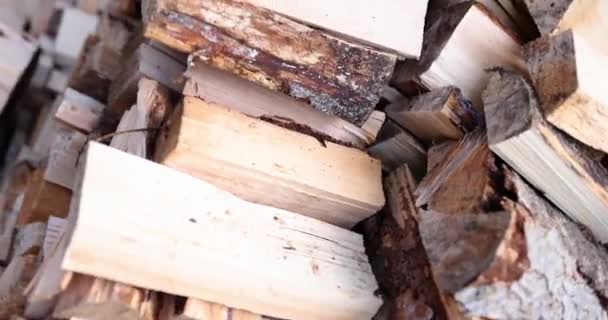 Wooden Firewood Stacked Neatly Countryside Closeup Background Movie Slow Motion — Stockvideo