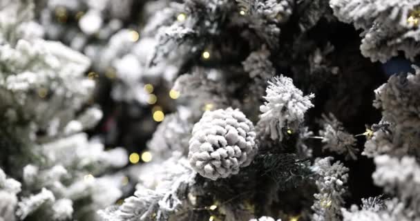 Árboles Navidad Con Conos Cubiertos Guirnaldas Nieve Fondo Película Cámara — Vídeos de Stock