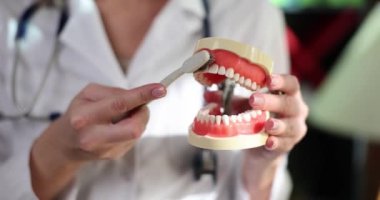 Diş hekimi, diş hekiminde dişlerini fırçalaması gerektiğini gösteriyor. Doktor, beyaz diş fırçasıyla diş temizleme hareketleri gösteriyor.