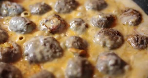 Cook Meatballs Natural Meat Spices Frying Pan Meatball Recipes — Video