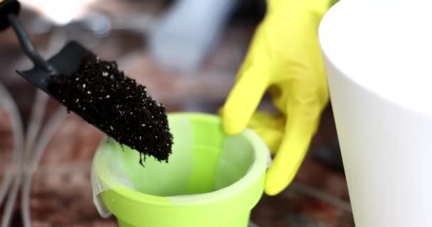 Χέρια Του Κηπουρού Κίτρινα Γάντια Ρίχνουν Χώμα Στην Κατσαρόλα Καλλιεργούμενα — Αρχείο Βίντεο