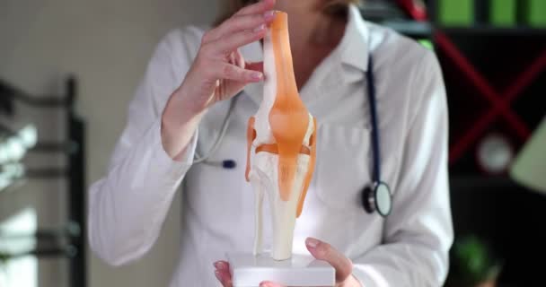 外傷科医は ヒト膝関節の人工モデルに靭帯や筋肉を示しています 関節への痛みや捻挫や外傷 — ストック動画