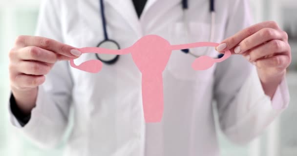 Woman Hands Hold Decorative Model Uterus Made Paper Female Health — Stock video