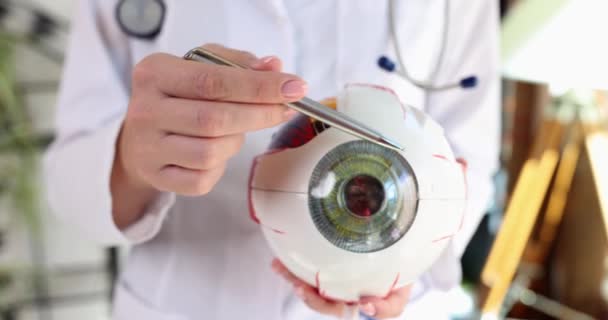 Oftalmólogo Mantiene Modelo Anatómico Del Ojo Clínica Concepto Tratamiento Quirúrgico — Vídeo de stock