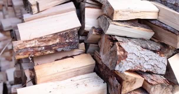 Stack Firewood Kept Firewood Storage Useful Tips Concept — Stock video