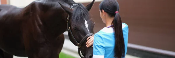 Veterinarian strokes and communicates with horse outdoors. Medical examination services and assistance to horses concept