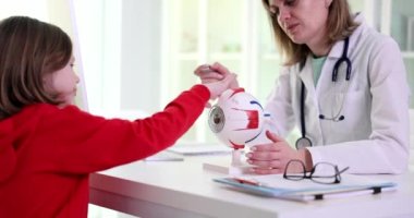 Ophthalmologist teaches anatomy of eye in clinic to girl child. Anatomy and physiology of concept of the organ of vision and problem of children vision