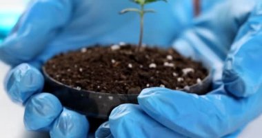 Bilimadamları, laboratuvarda ellerinde toprak ve yeşil bitki filizleriyle apetri kabını tutuyor. Eko-ürünlerin ve organik ürünlerin yetiştirilmesi