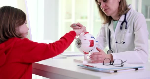 Ophtalmologiste Enseigne Anatomie Œil Clinique Pour Fille Enfant Anatomie Physiologie — Video