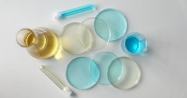 Petri dish flasks with liquid and laboratory equipment for biochemical experiment. Chemistry and experiments in scientific biological and chemical laboratory