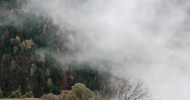 Morning Fogs Mountain Forest Reserve Mountain Landscape Georgia — 图库视频影像