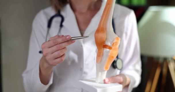 Travmatolog Diz Eklemi Modelinin Bulunduğu Bölgeye Işaret Etti Tıbbi Ortopedik — Stok video