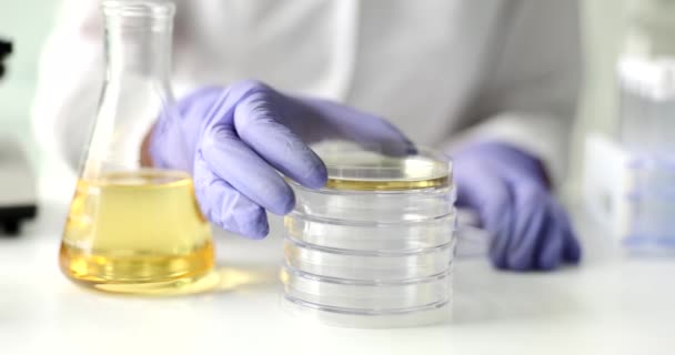 Científico Cierra Placa Petri Con Aceite Laboratorio Examen Independiente Calidad — Vídeo de stock