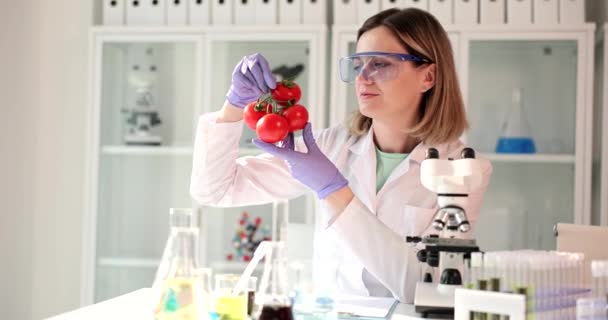 Chemik Trzymający Czerwone Pomidory Laboratorium Sprawdzanie Warzyw Owoców Pod Kątem — Wideo stockowe