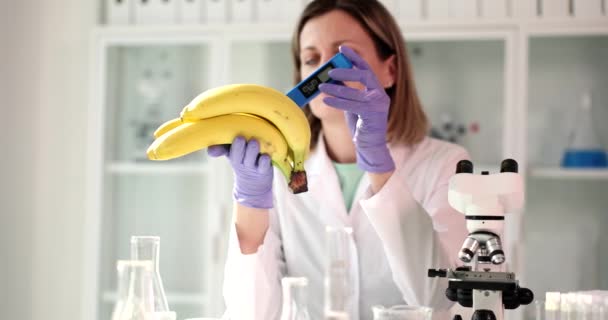 Cientista Laboratório Verifica Bananas Com Close Testador Toxinas Experiência Certificação — Vídeo de Stock