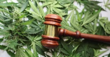 Judge gavel and hemp leaves. Legalization of drugs is humanitarian and economic aspect. Illicit drug trafficking in world