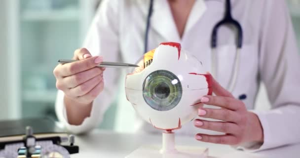 Oftalmolog Vykazuje Anatomický Model Oka Chirurgická Léčba Lékařská Výchova Výzkum — Stock video