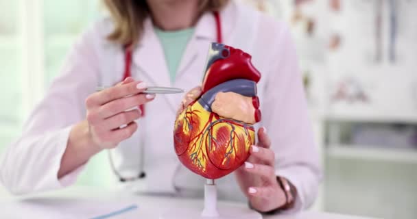 心臓病の医師は モデルの人工的な閉鎖に心臓の構造を示しています 心血管疾患および心臓の解剖学的治療 — ストック動画