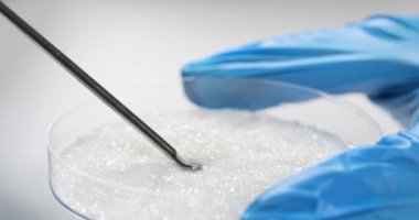 Scientist chemist taking sugar from petri dish with chemical spoon closeup 4k movie slow motion. Development of sweeteners and laboratory quality control of food products concept
