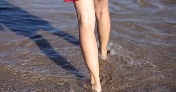 Kobieta Spaceruje Boso Letniej Plaży Morskiej Ciesz Się Spacerując Boso — Wideo stockowe