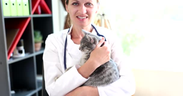 Hermosa Veterinaria Femenina Está Sosteniendo Gato Gris Clínica Veterinaria Tratamiento — Vídeo de stock