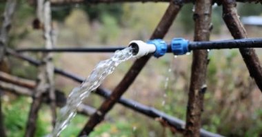 Plumbing system and irrigation of agricultural plants. Jet of water flows from tap in forest or garden
