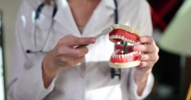 Dentist holds artificial jaw and toothbrush. Oral hygiene teeth whitening concept