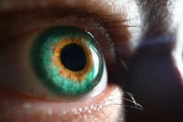 Gri Yeşil Gözün Mükemmel Makrosu Mükemmel Görüş Açısı Hyperopia Miyop — Stok fotoğraf