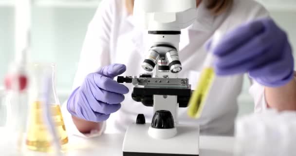 Scientist Biologist Adjusts Microscope Examine Toxic Liquids Rules Using Microscope — Stock Video