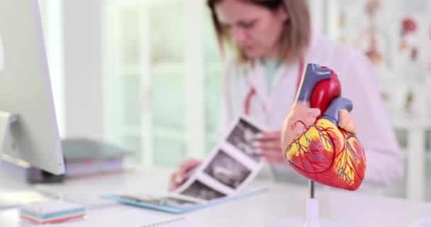 心臓科医は患者の心臓の超音波検査を行い 健康と医療相談をチェックします 心血管疾患および治療の診断 — ストック動画