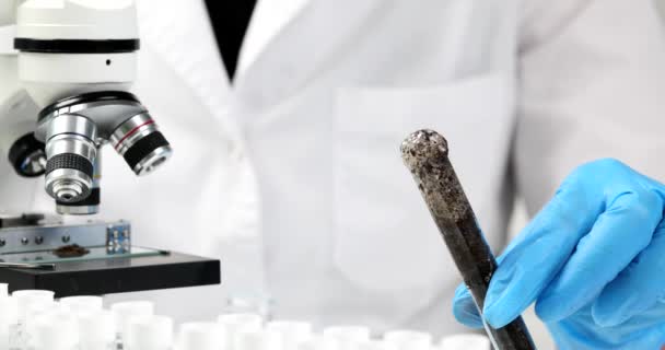 과학자 생물학자들은 실험용 튜브에 액체를 실험실에 보관하고 의화학 실험의 — 비디오