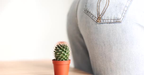 Female Butt Jeans Sitting Cactus Closeup Movie Slow Motion Diagnosis — Stockvideo