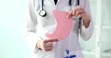 Doktor elinde bağırsağın dekoratif kağıt modelini tutuyor. Gastroenteroloji sağlıklı sindirim ve bağırsak mikrobiyomu