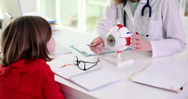 Κορίτσι Παιδί Εξετάζει Ανατομικό Μοντέλο Του Ματιού Οφθαλμίατρος Δομή Του — Αρχείο Βίντεο
