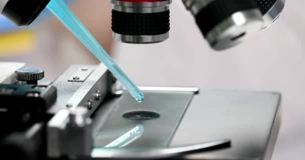 Scienziato Gocciola Campione Liquido Azzurro Uno Scivolo Del Microscopio Primo — Video Stock