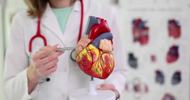 Cardiologista Médico Mostra Anatomia Coração Vasos Sanguíneos Diagnóstico Doenças Cardiovasculares — Vídeo de Stock