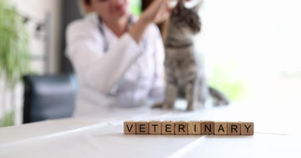 獣医師による猫と子猫の獣医学的検査 動物病院とペットの検査と予防接種 — ストック動画