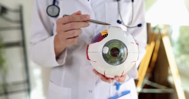 Ophtalmologiste Détient Modèle Anatomique Œil Humain Enseignement Médical Sciences — Video