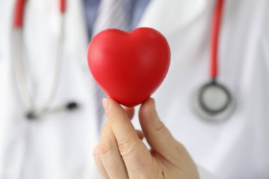 Kardiyolog kırmızı oyuncak kalbi yakından tutuyor. Doktor kardiyoterapist ve kardiyovasküler hastalık tedavisi