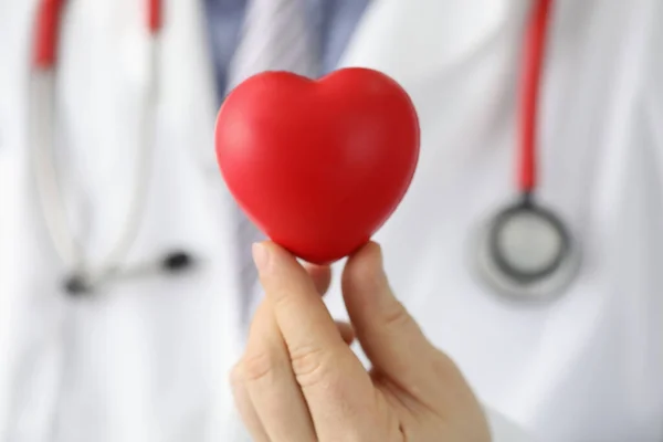 Кардіолог Тримає Червоне Іграшкове Серце Крупним Планом Лікар Кардіотерапевт Лікування — стокове фото