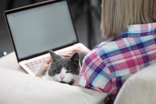 Mulher Está Trabalhando Laptop Com Gato Sofá Trabalho Remoto Freelance — Fotografia de Stock