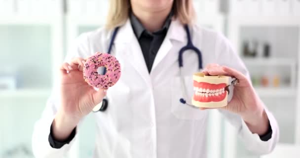 Lekarz Dentysta Trzyma Rękach Słodkiego Pączka Model Ludzkich Szczęk Zbliżenie — Wideo stockowe