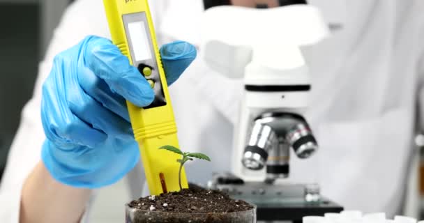 Chemik Badający Kwasowość Gleby Kiełkach Roślin Przy Użyciu Meter Closeup — Wideo stockowe