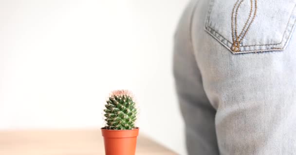 Female Butt Siting Flower Pot Cactus Plant Closeup Movie Slow — 图库视频影像