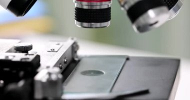 Laboratuvarda cam ile mikroskop araştırması. Laboratuvar ve dürbün mikroskopları ve büyütülmüş örnek resimleri