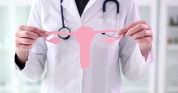 Ginecólogo Médico Sostiene Modelo Órganos Genitales Femeninos Papel Rosa Modelo — Vídeos de Stock