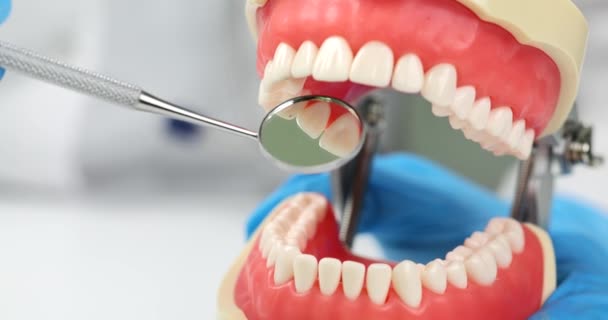 Dental Instrument Mirror Artificial Plastic Jaw Closeup Dental Care Caries — Stock Video