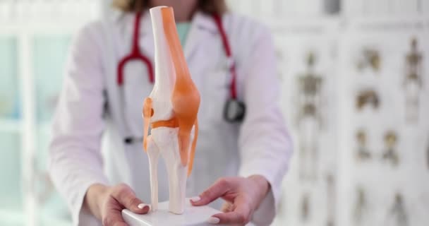 Médico Muestra Modelo Anatómico Primer Plano Rodilla Tendón Exploración Quirúrgica — Vídeo de stock
