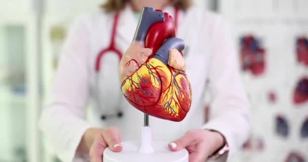 Kardiolog Octor Posiada Plastikowy Model Zbliżenia Serca Nadciśnienie Tętnicze Niewydolność — Wideo stockowe